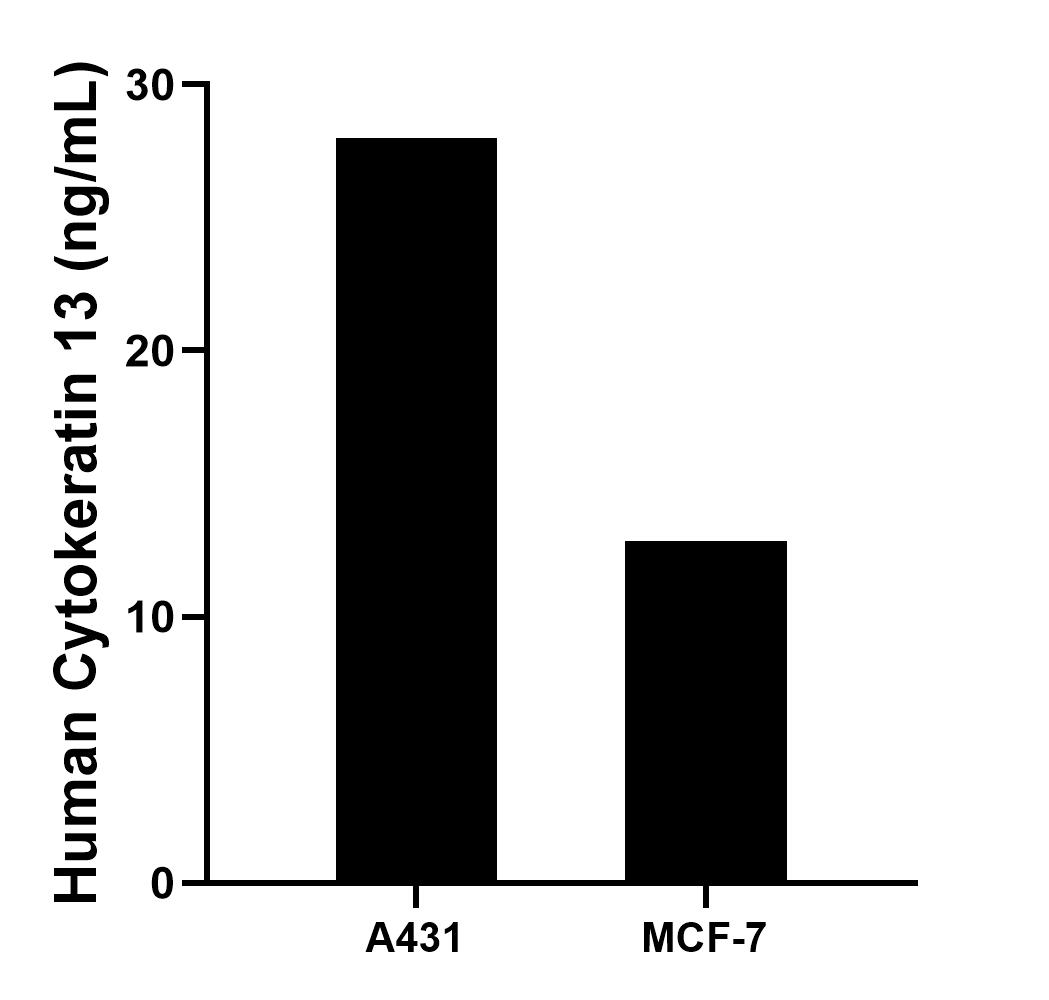 Sample test of MP00074-2